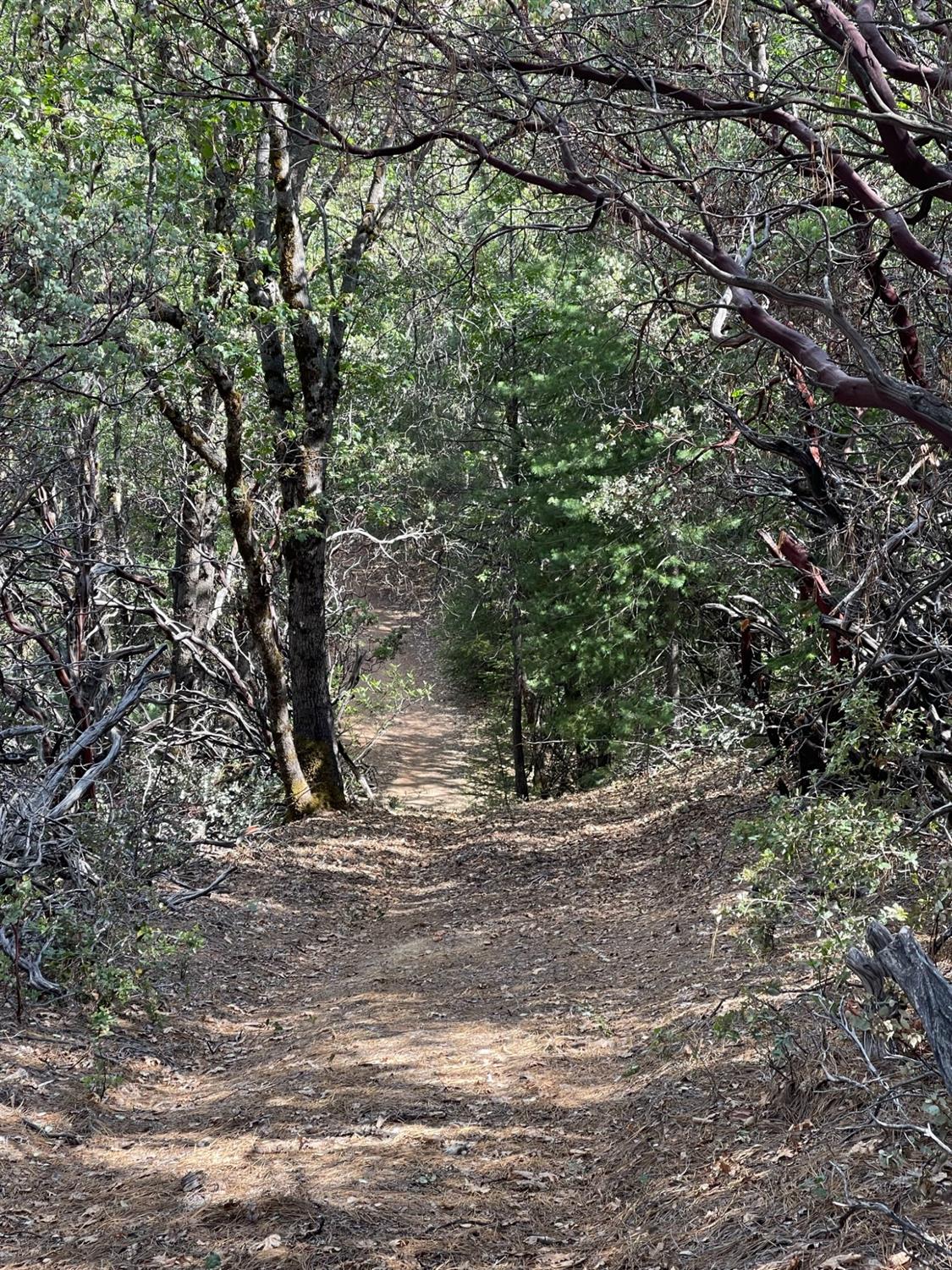0 Loggers Trail Colfax, CA 95713 - Photo 25 of 54 Possible driveway
