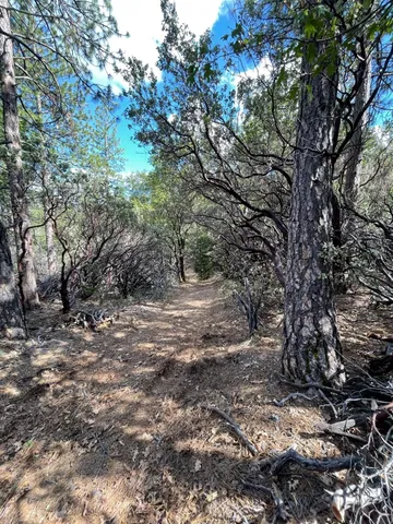 $60,000 | 0 Loggers Trail, Colfax, CA 95713
