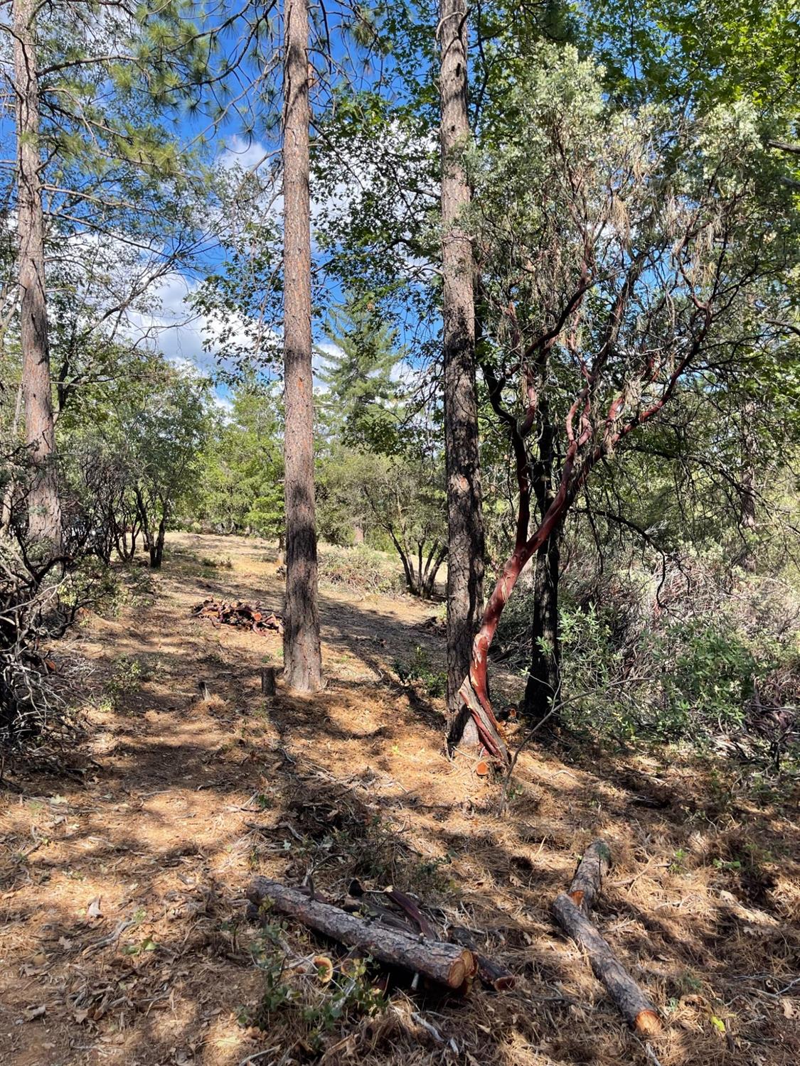 0 Loggers Trail Colfax, CA 95713 - Photo 27 of 54