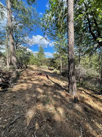 $60,000 | 0 Loggers Trail, Colfax, CA 95713
