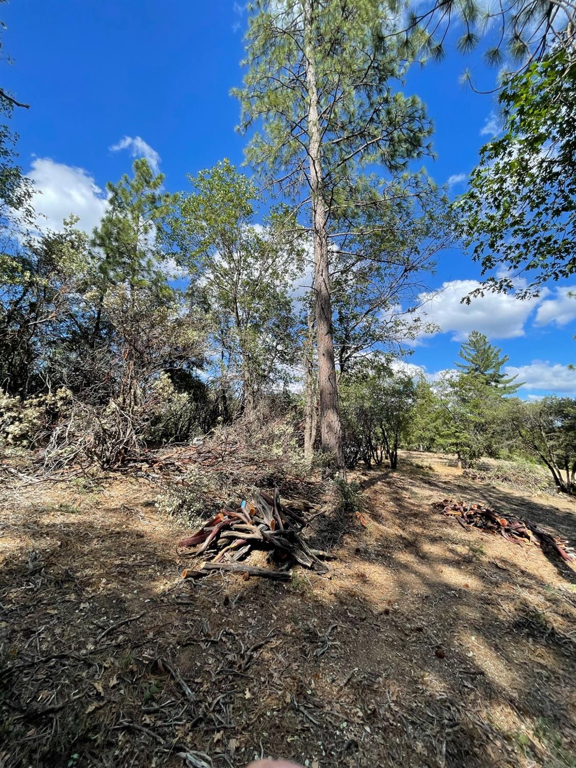 0 Loggers Trail Colfax, CA 95713 - Photo 30 of 54