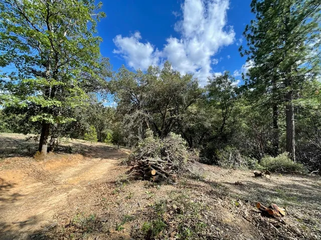$60,000 | 0 Loggers Trail, Colfax, CA 95713