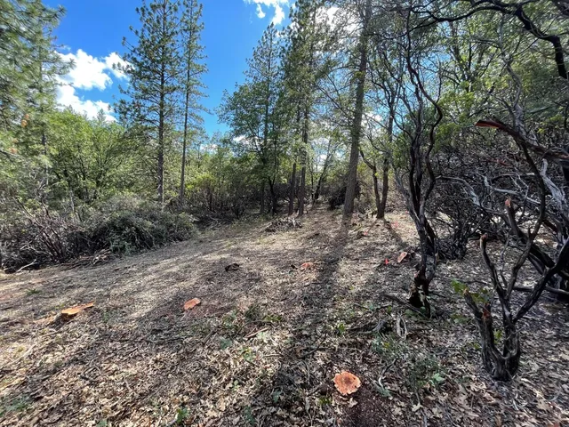 $60,000 | 0 Loggers Trail, Colfax, CA 95713