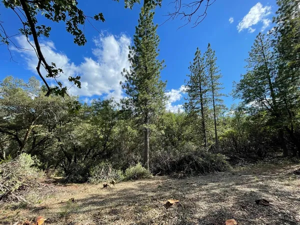 $60,000 | 0 Loggers Trail, Colfax, CA 95713