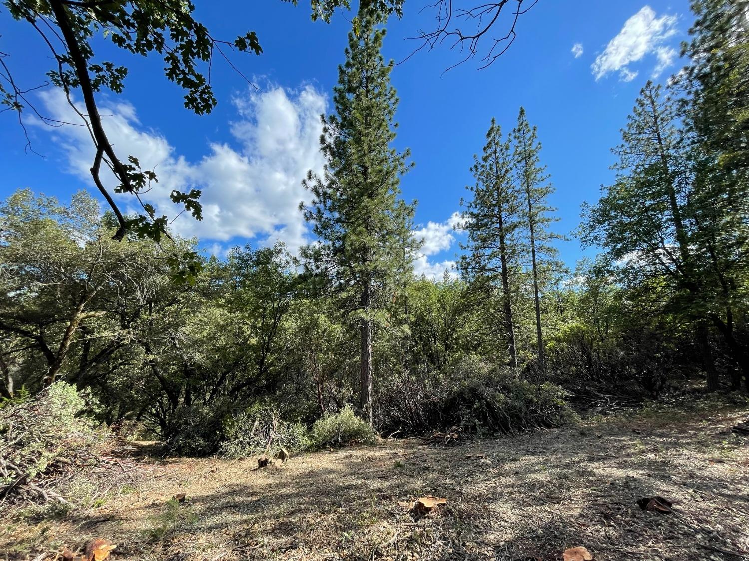 0 Loggers Trail Colfax, CA 95713 - Photo 33 of 54