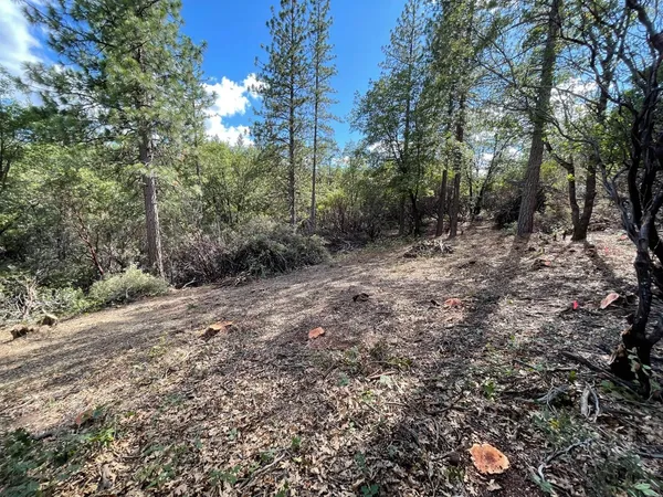 $60,000 | 0 Loggers Trail, Colfax, CA 95713