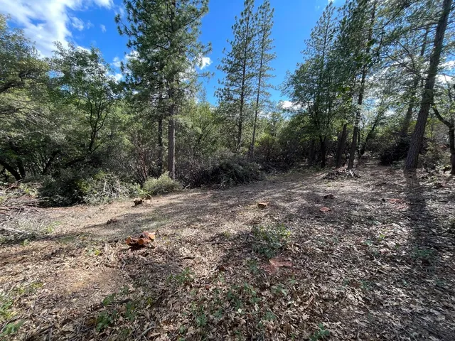 $60,000 | 0 Loggers Trail, Colfax, CA 95713