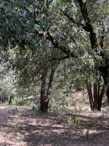 $60,000 | 0 Loggers Trail, Colfax, CA 95713