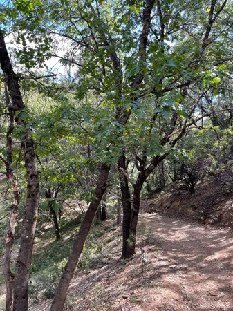 $60,000 | 0 Loggers Trail, Colfax, CA 95713