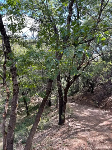 $60,000 | 0 Loggers Trail, Colfax, CA 95713