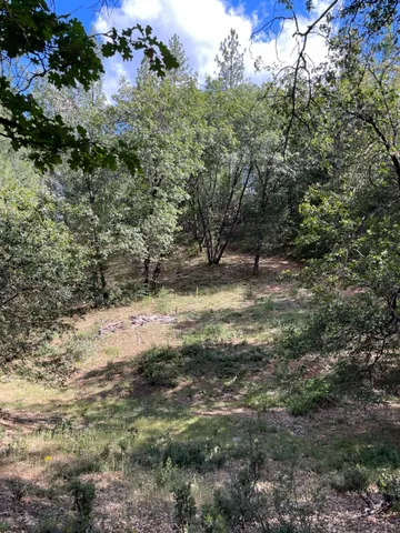 $60,000 | 0 Loggers Trail, Colfax, CA 95713