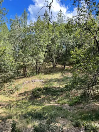 $60,000 | 0 Loggers Trail, Colfax, CA 95713