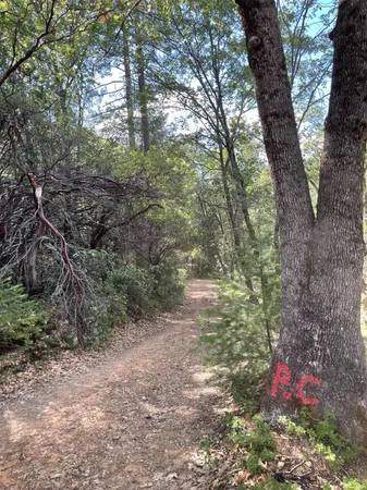 $60,000 | 0 Loggers Trail, Colfax, CA 95713