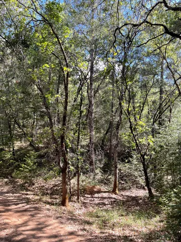 $60,000 | 0 Loggers Trail, Colfax, CA 95713