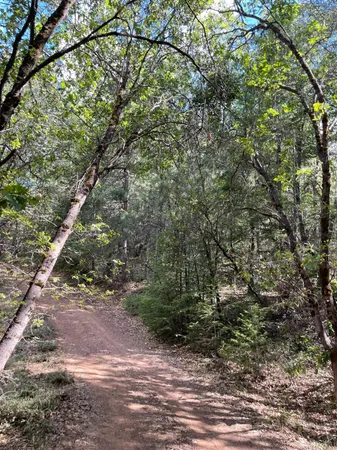 $60,000 | 0 Loggers Trail, Colfax, CA 95713