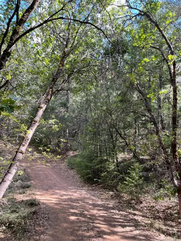 $60,000 | 0 Loggers Trail, Colfax, CA 95713