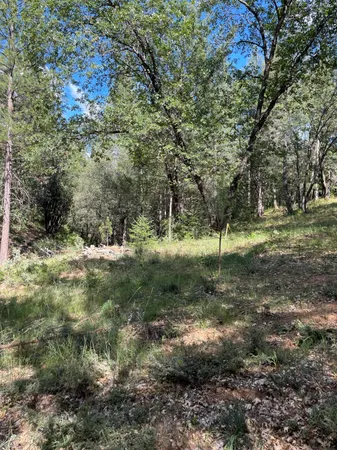 $60,000 | 0 Loggers Trail, Colfax, CA 95713