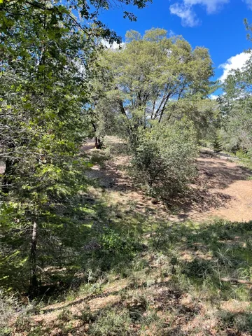 $60,000 | 0 Loggers Trail, Colfax, CA 95713