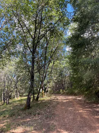 $60,000 | 0 Loggers Trail, Colfax, CA 95713