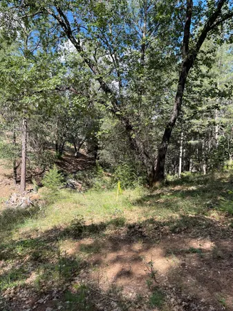 $60,000 | 0 Loggers Trail, Colfax, CA 95713