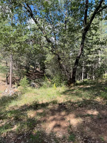 $60,000 | 0 Loggers Trail, Colfax, CA 95713