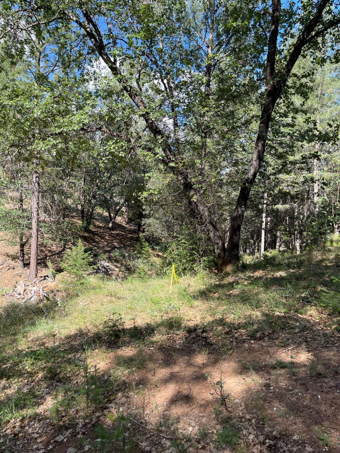 0 Loggers Trail Colfax, CA 95713 - Photo 46 of 54