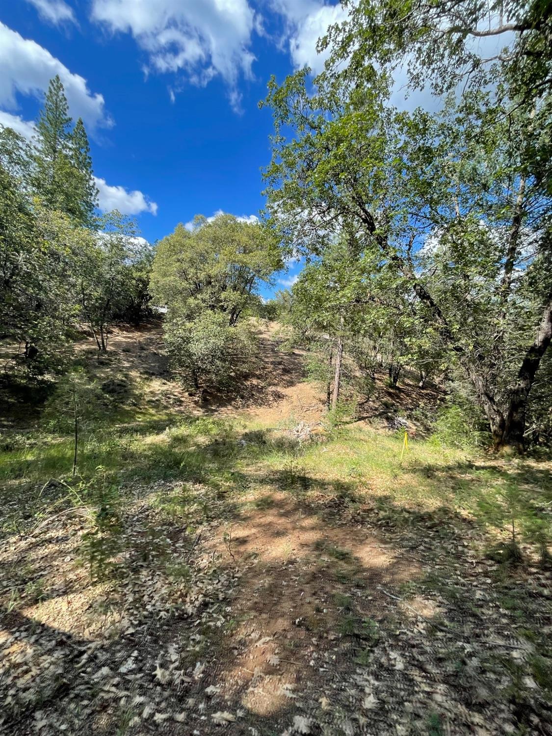 0 Loggers Trail Colfax, CA 95713 - Photo 47 of 54