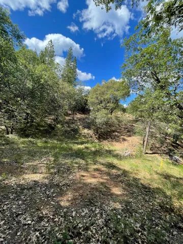 $60,000 | 0 Loggers Trail, Colfax, CA 95713