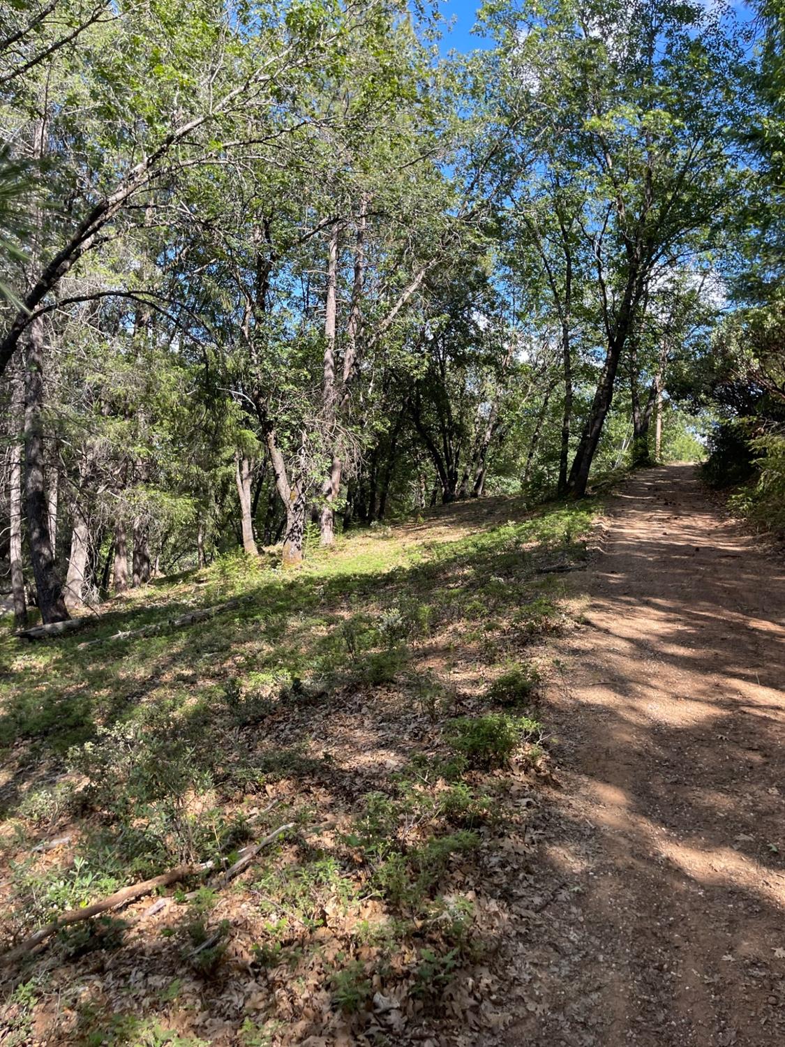 0 Loggers Trail Colfax, CA 95713 - Photo 49 of 54