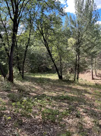 $60,000 | 0 Loggers Trail, Colfax, CA 95713