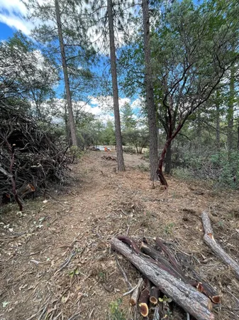 $60,000 | 0 Loggers Trail, Colfax, CA 95713