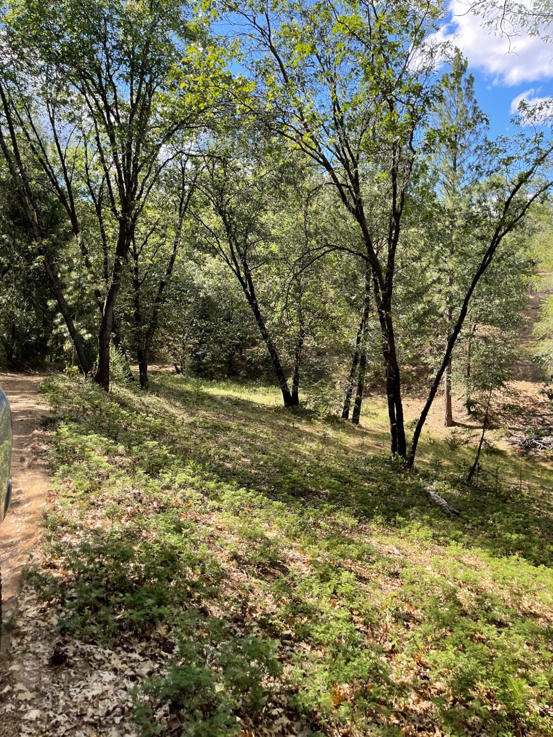 0 Loggers Trail Colfax, CA 95713 - Photo 51 of 54