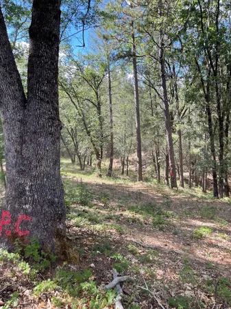 $60,000 | 0 Loggers Trail, Colfax, CA 95713