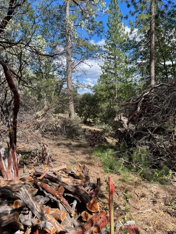 $60,000 | 0 Loggers Trail, Colfax, CA 95713