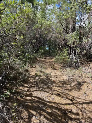 $60,000 | 0 Loggers Trail, Colfax, CA 95713