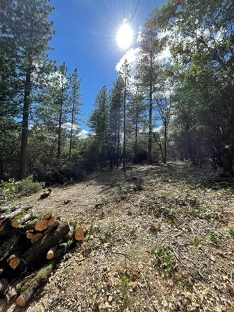 $60,000 | 0 Loggers Trail, Colfax, CA 95713