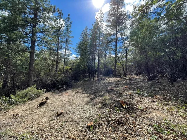 $60,000 | 0 Loggers Trail, Colfax, CA 95713