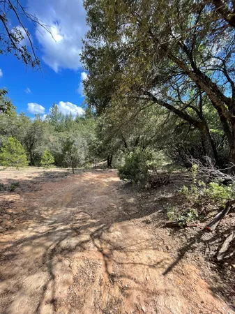 $60,000 | 0 Loggers Trail, Colfax, CA 95713