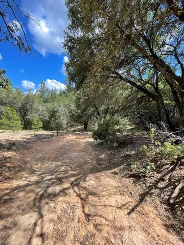 $60,000 | 0 Loggers Trail, Colfax, CA 95713