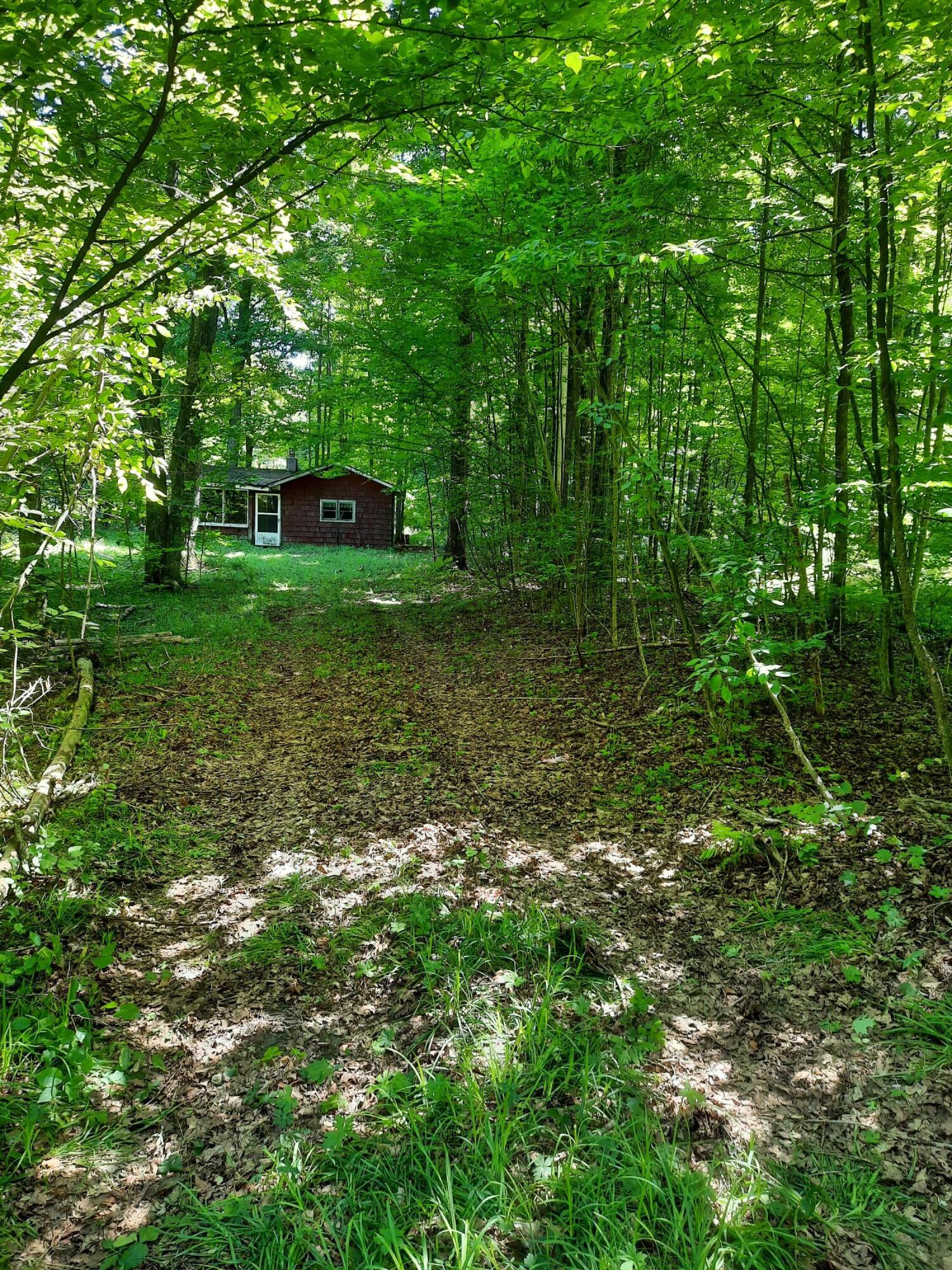6684 North Coe Road Luther, MI 49656 - Photo 1 of 14 20230730_121036