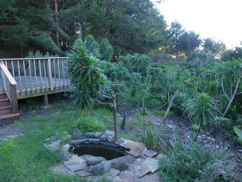 122 Madrone Road Whitethorn, CA 95589 - Photo 11 of 21