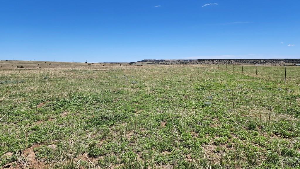 110 County Road 110 Rye, CO 81069 - Photo 31 of 37
