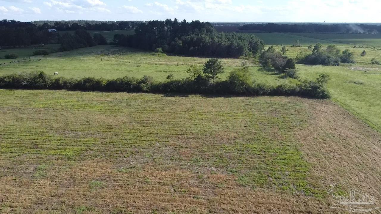 1400-block Ross Gate Road Atmore, AL 36502 - Photo 1 of 12