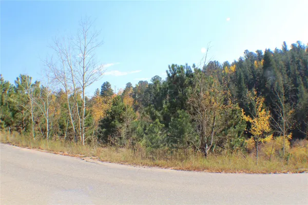 $20,000 | 2012 Shelton Drive, Bailey, CO 80421