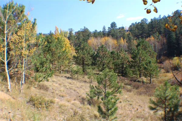 $20,000 | 2012 Shelton Drive, Bailey, CO 80421