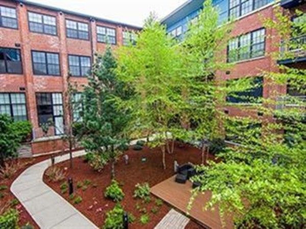 a view of a building with potted plants