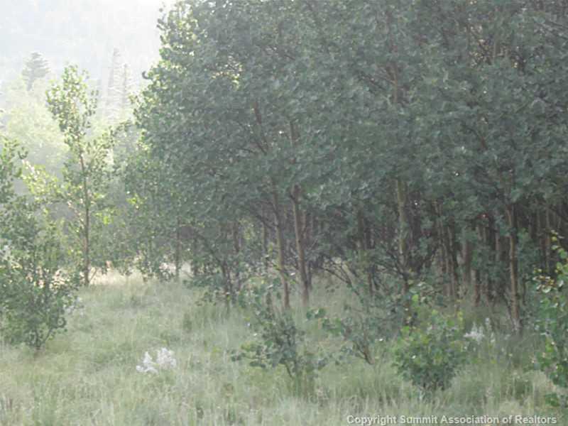 472 Haida Road Como, CO 80456 - Photo 5 of 6 Gallery Image 5