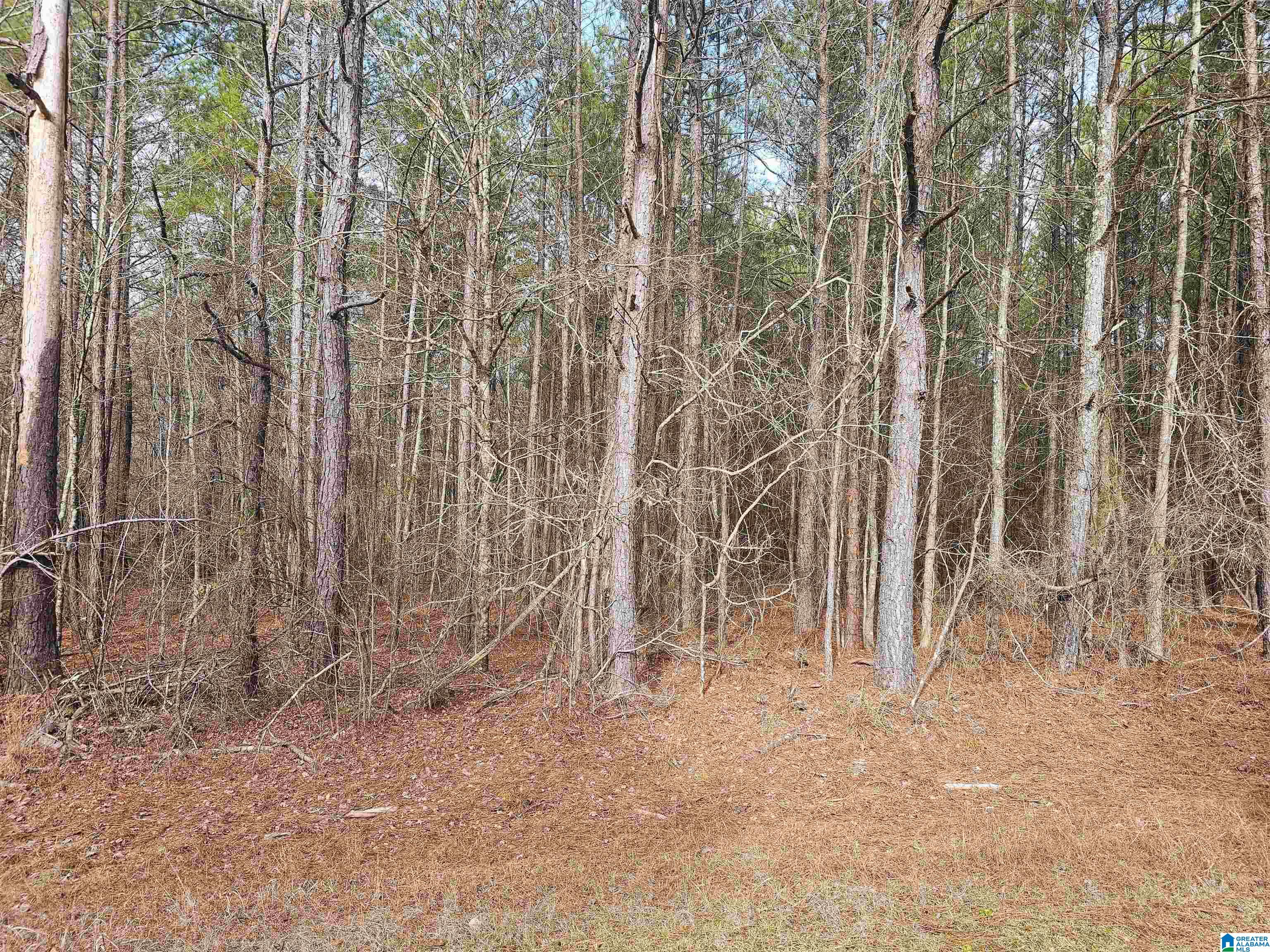 15 County Road 15, Unit 3 92 Heflin, AL 36264 - Photo 2 of 11
