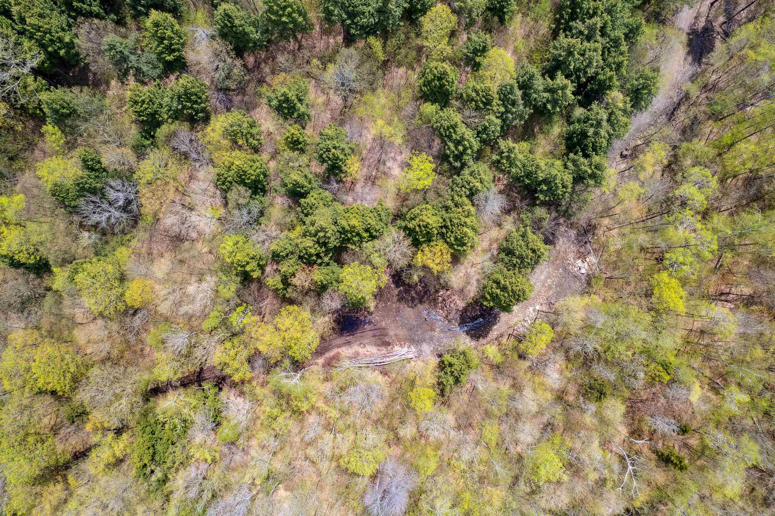 0 Chapel Hill Road, Unit 3 Sharon, VT 05065 - Photo 13 of 20