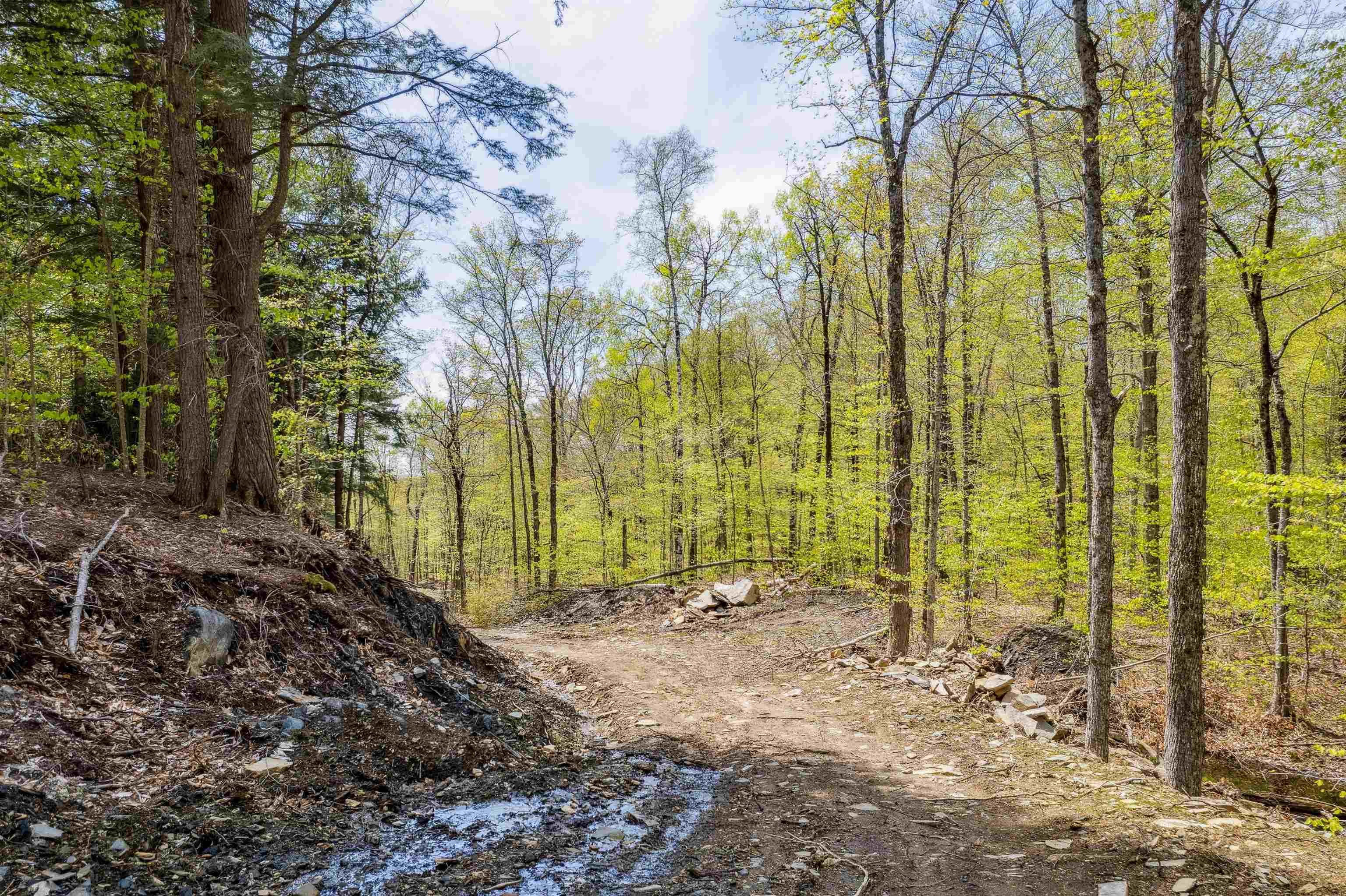 0 Chapel Hill Road, Unit 3 Sharon, VT 05065 - Photo 16 of 20